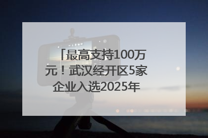 最高支持100万元！武汉经开区5家企业入选2025年度武汉市重点研发计划拟立项项目名单