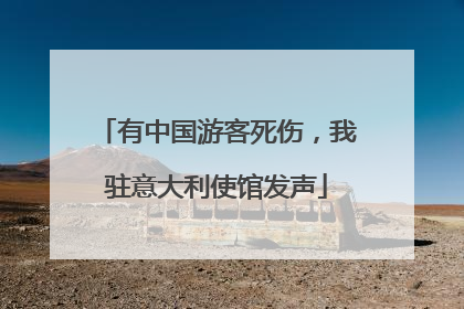 有中国游客死伤，我驻意大利使馆发声