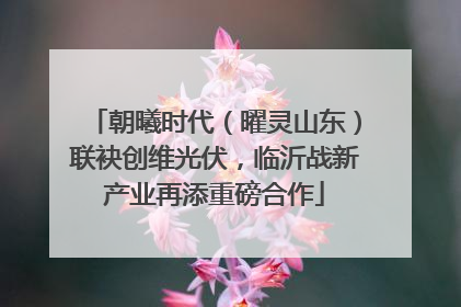 朝曦时代（曜灵山东）联袂创维光伏，临沂战新产业再添重磅合作