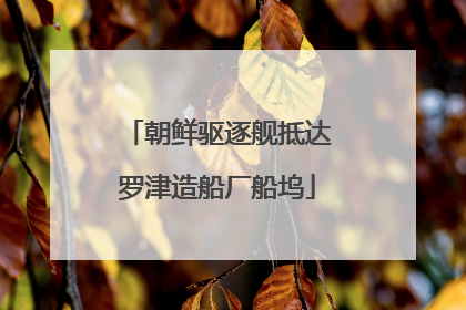 朝鲜驱逐舰抵达罗津造船厂船坞