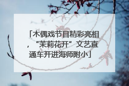木偶戏节目精彩亮相，“茉莉花开”文艺直通车开进海师附小