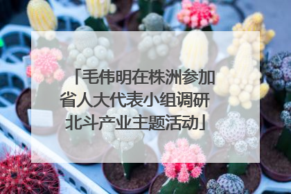 毛伟明在株洲参加省人大代表小组调研北斗产业主题活动
