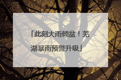 此刻大雨倾盆！芜湖暴雨预警升级