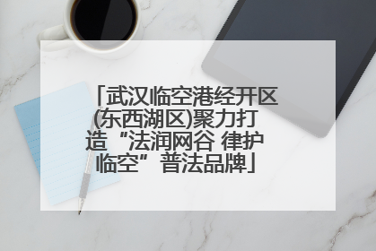 武汉临空港经开区(东西湖区)聚力打造“法润网谷 律护临空”普法品牌