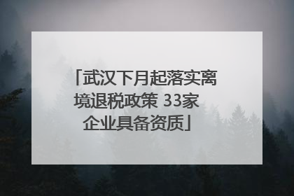 武汉下月起落实离境退税政策 33家企业具备资质