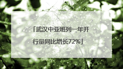 武汉中亚班列一年开行量同比增长72%