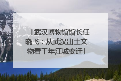 武汉博物馆馆长任晓飞：从武汉出土文物看千年江城变迁