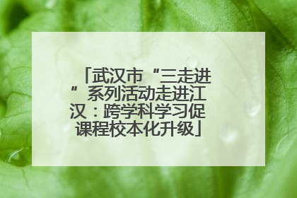 武汉市“三走进”系列活动走进江汉：跨学科学习促课程校本化升级