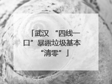 武汉 “四线一口”暴露垃圾基本 “清零”
