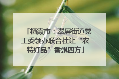 栖霞市：翠屏街道党工委领办联合社让“农特好品”香飘四方