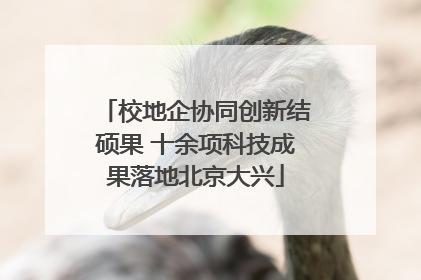 校地企协同创新结硕果 十余项科技成果落地北京大兴