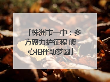 株洲市一中：多方聚力护征程 暖心相伴助梦圆