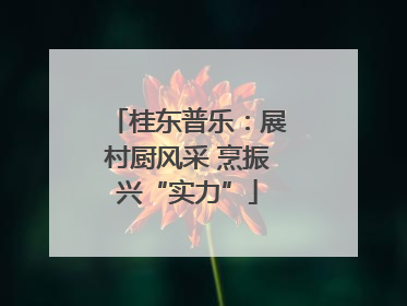 桂东普乐：展村厨风采 烹振兴“实力”
