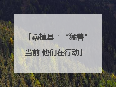 桑植县：“猛兽”当前 他们在行动
