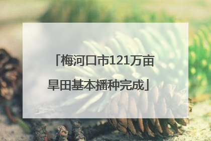 梅河口市121万亩旱田基本播种完成