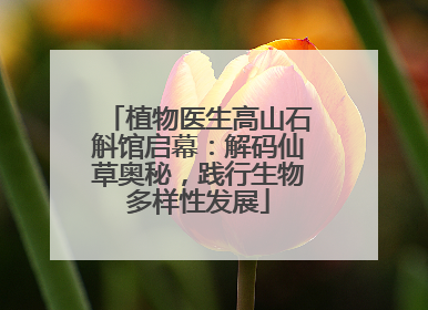 植物医生高山石斛馆启幕：解码仙草奥秘，践行生物多样性发展