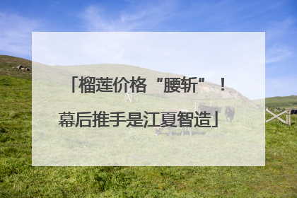 榴莲价格“腰斩”！幕后推手是江夏智造