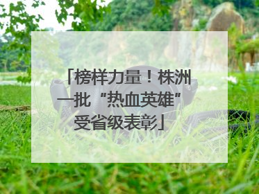 榜样力量！株洲一批“热血英雄”受省级表彰