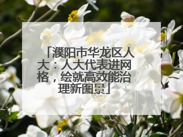 濮阳市华龙区人大：人大代表进网格，绘就高效能治理新图景