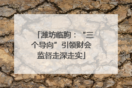 潍坊临朐：“三个导向”引领财会监督走深走实