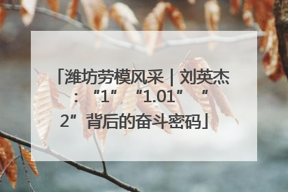 潍坊劳模风采｜刘英杰：“1”“1.01”“2”背后的奋斗密码
