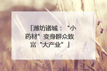 潍坊诸城：“小药材”变身群众致富“大产业”