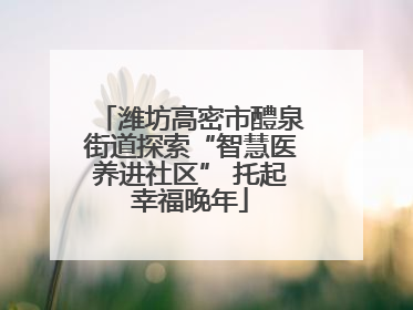 潍坊高密市醴泉街道探索“智慧医养进社区” 托起幸福晚年