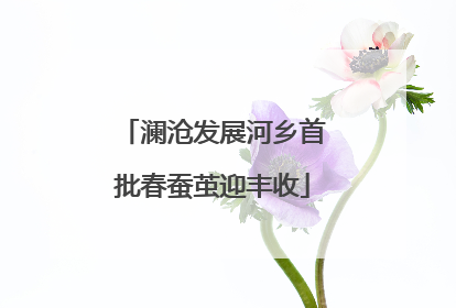 澜沧发展河乡首批春蚕茧迎丰收