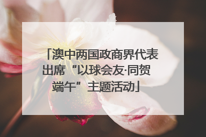 澳中两国政商界代表出席“以球会友·同贺端午”主题活动