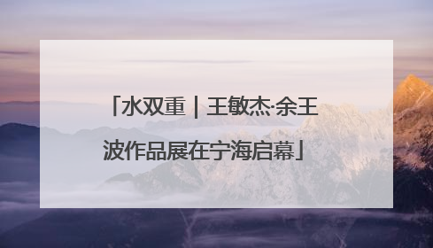 水双重｜王敏杰·余王波作品展在宁海启幕