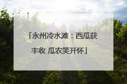 永州冷水滩：西瓜获丰收 瓜农笑开怀