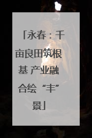 永春：千亩良田筑根基 产业融合绘“丰”景