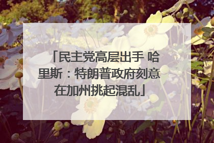 民主党高层出手 哈里斯：特朗普政府刻意在加州挑起混乱