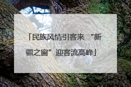 民族风情引客来 “新疆之窗”迎客流高峰