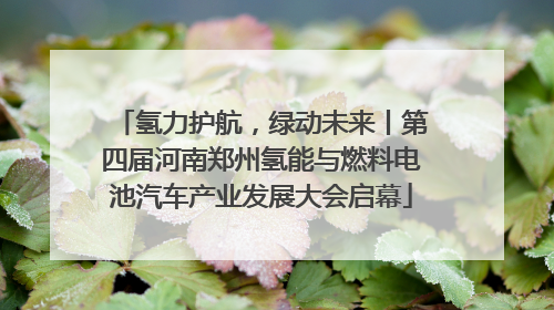 氢力护航，绿动未来丨第四届河南郑州氢能与燃料电池汽车产业发展大会启幕