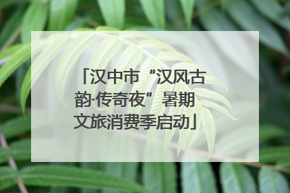汉中市“汉风古韵·传奇夜”暑期文旅消费季启动