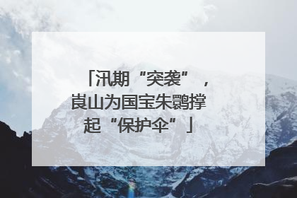 汛期“突袭”，崀山为国宝朱鹮撑起“保护伞”