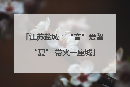 江苏盐城：“音”爱留“夏” 带火一座城
