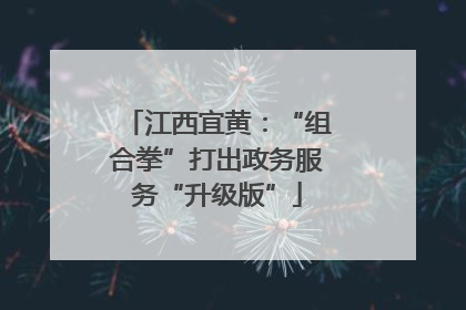江西宜黄：“组合拳”打出政务服务“升级版”