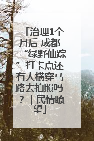 治理1个月后 成都“绿野仙踪”打卡点还有人横穿马路去拍照吗？｜民情瞭望