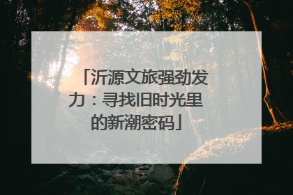 沂源文旅强劲发力：寻找旧时光里的新潮密码