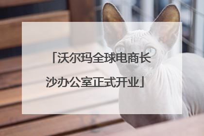 沃尔玛全球电商长沙办公室正式开业