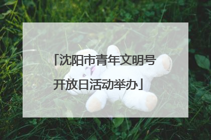沈阳市青年文明号开放日活动举办