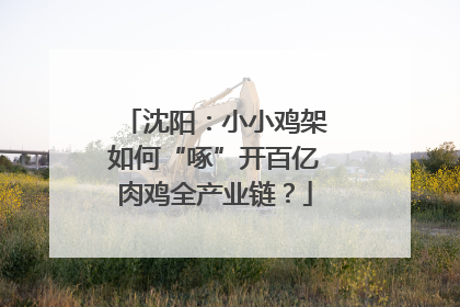 沈阳：小小鸡架如何“啄”开百亿肉鸡全产业链？
