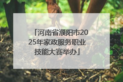 河南省濮阳市2025年家政服务职业技能大赛举办