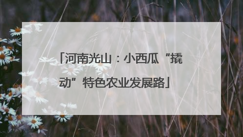 河南光山：小西瓜“撬动”特色农业发展路
