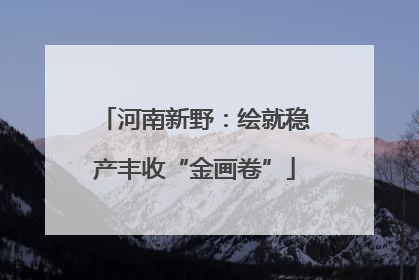 河南新野：绘就稳产丰收“金画卷”