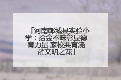 河南郸城县实验小学：拾金不昧彰显德育力量 家校共育浇灌文明之花