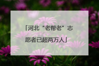 河北“老帮老”志愿者已超两万人