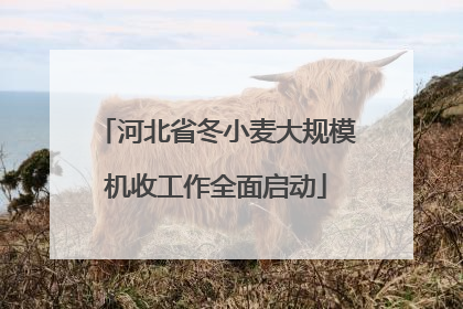 河北省冬小麦大规模机收工作全面启动